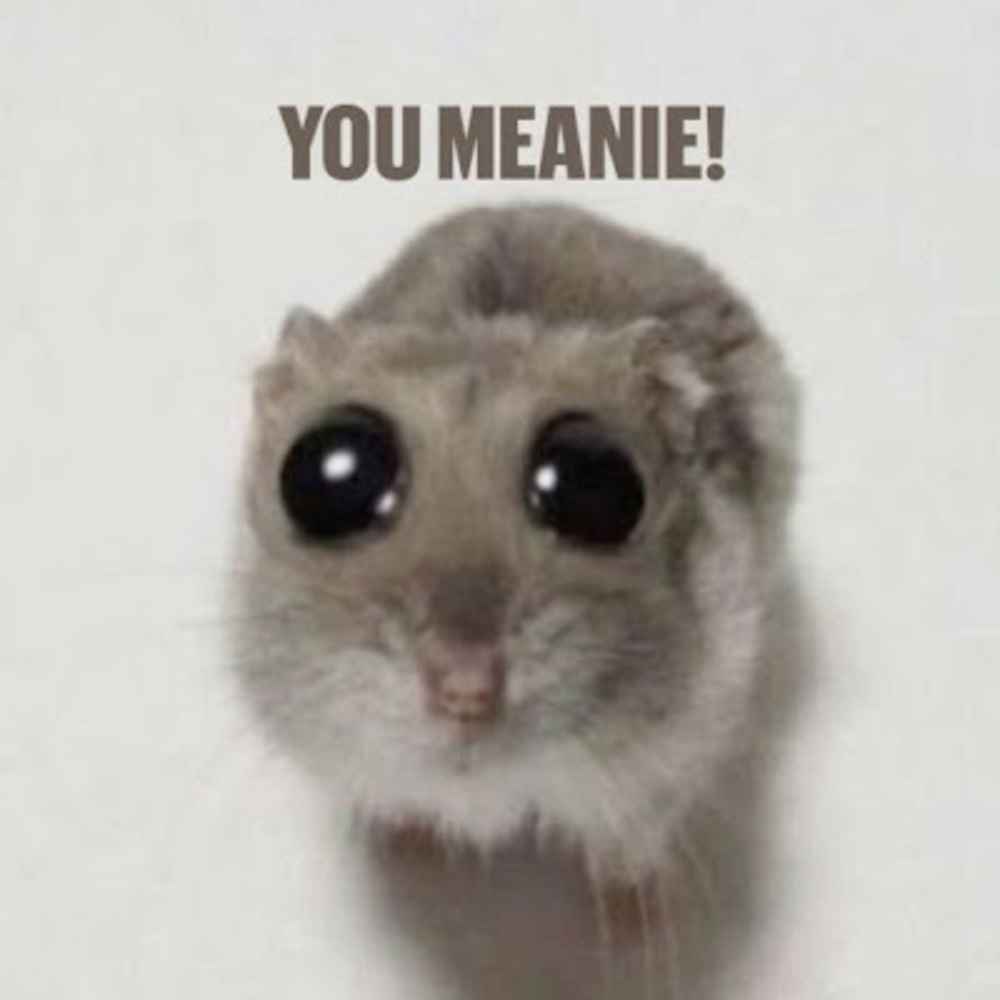 Meet your Posher, Tayzer